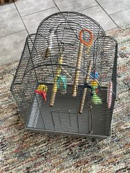 Make and female Parakeet pair with two cages