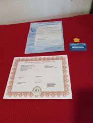 AKC Registered,2yr old Male Pembroke Welsh Corgi