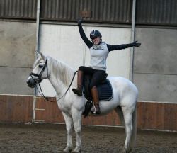 Lovely 9 year old baroque white mare!!