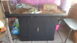 Russian bix turtle, tank and stand