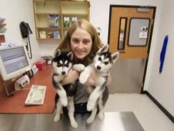 Puppies For Adoption. Tex(xxx) xxx-xxx1
