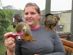 sweet male and female squirrel monkey
