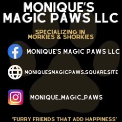 Come get you and your family a furry friend ..