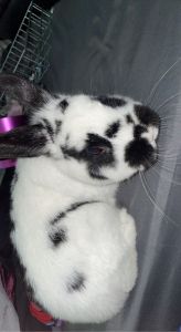 Call or text for more details ***