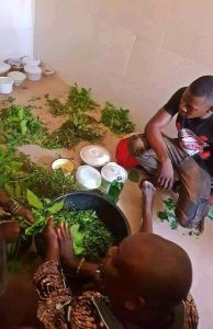 The best powerful spiritual traditional doctor in Nigeria