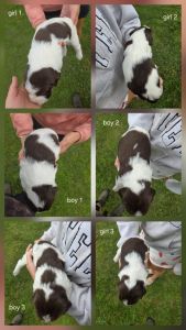 Emergency sell feel feee to contact me