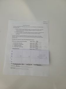 Husky x golden retriever