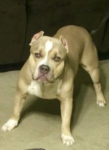 Looking for forever home