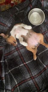 3mo loving baby girl