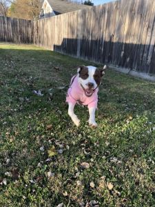 Looking for Her Forever Home