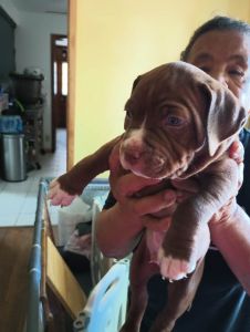 Clarksville, Tennessee area