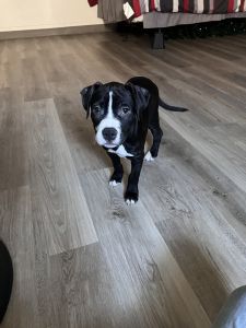 2 1/2 month old girl