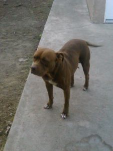 my babie needs good family