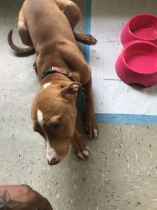 Diamond for sell cant keep her