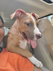 4months Red/Blue nose