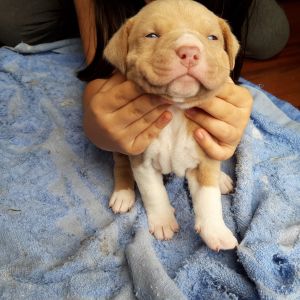 Adorable and loyal friend