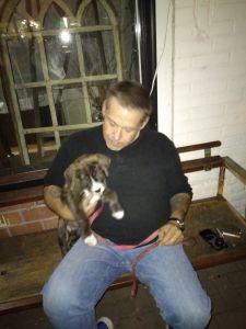 Pitbull pupoy to good home