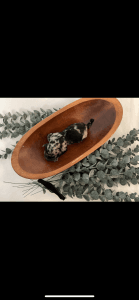 F1B Aussiedoodle puppies Columbia, SC