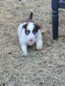 ready Feb 18,2024. loving