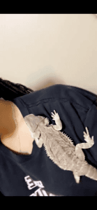 Bearded Dragon for Sale !