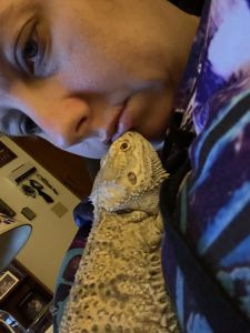 Gaint German beardie