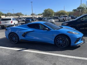 2 beautiful snow mink Bengal females av!