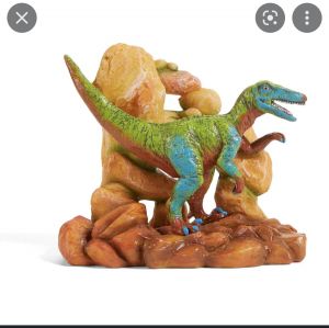 Red Tail boa with enclosure