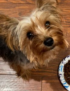 Too sick to care for him