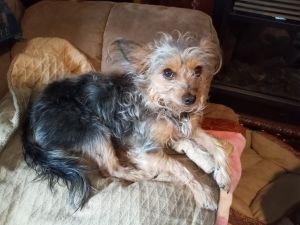 Free both of them are free