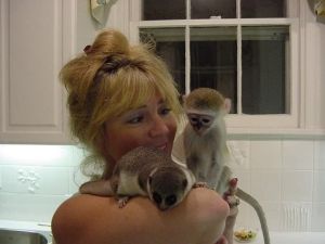 Adorable baby capuchin monkeys 8weeks