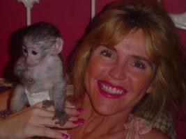 Cute and,nice capuchins monkeys