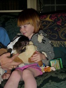 Lovely Capuchins For Sale..(***) ***-***9