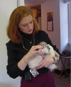 Baby Capuchin Monkeys Now Available