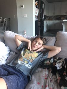 1 year old cavalier King Charles male