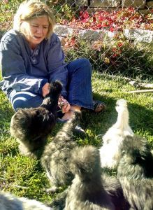 Bearded Bantam Silkie Chicks