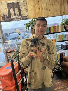 8week old puppy looking for loving home