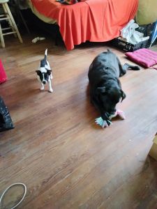 Sweet Bundle of Love,!