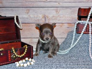 TINY Solid Lavender Long Coat Baby Girl