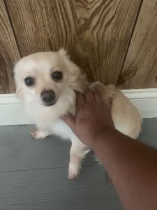 Hi my name is Robin.