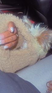 His name is Polo. Polo is a good sweet dog!!!