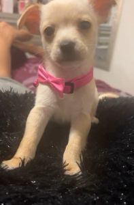 I don’t have a name