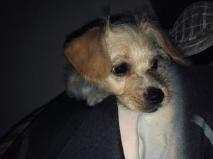 Queen needs a new home (Moving)