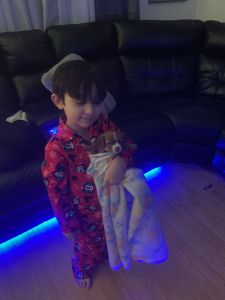 I am selling a baby Chihuahua