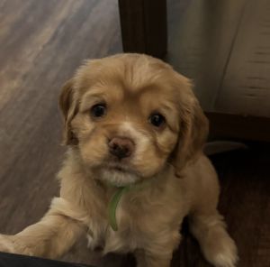 Ready on June 28,2025