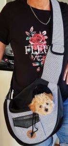 Beautiful Cockapoo Puppies