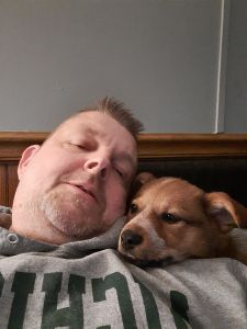 Adodorable 11 month Old Collie Needs Forever Home