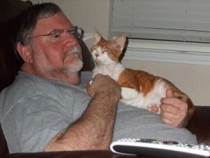 admirable Devon Rex kittens Ace