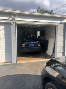 European Doberman Pinscher