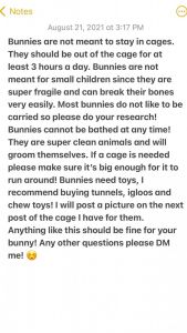 Baby bunnies for sale. We can negotiate on a price