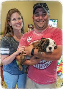 AKC ENGLISH BULLDOG PUPPIES